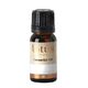 Essential oil 10ml - Jasmine Absolute 3% in Jojoba