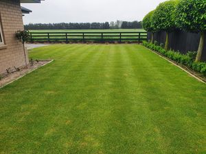 Wesco Ultra Lawn Seed Mix Lawn Seed Wesco Seeds