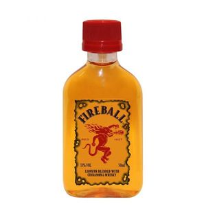 Fireball Mini 50ml - West Auckland Liquor