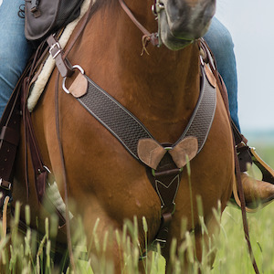 Cashel: Cashel 2.75-inch Breastcollar with Basket Tooling