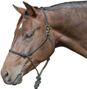 Accessories: Classic Adjustable Rope Halter and Leadrope