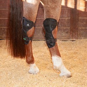 Bell Boots: MagNTX Hock Wrap