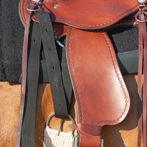 Full: Black Nylon Latigo