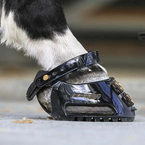 Supplements: Scoot Boots Classic - Single