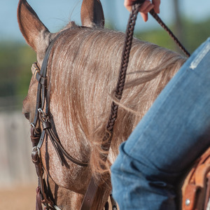 Headstall Breastplate: Latigo Braided 5-Strand Roping Rein 3/4-inch Thick Buckle Snap Ends - Martin Saddlery
