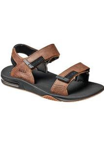 Reef - Fanning Baja Le