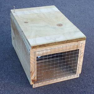 Products: DOC200 Trap - Pickup Queenstown - Whakatipu Wildlife Trust