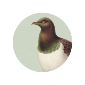 Coasters Placemats: Placemat Hushed Kereru Green