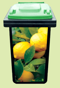 Best Sellers: Lemon Zest