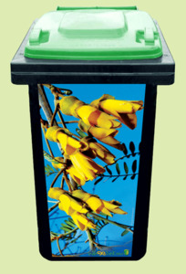 Best Sellers: Kowhai