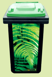 Best Sellers: Fern