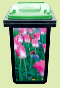Products: Pink Tulips