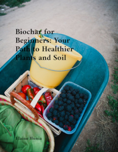 Products: Biochair for Beginners: Your Path to Healthier Plants and Soil eBook