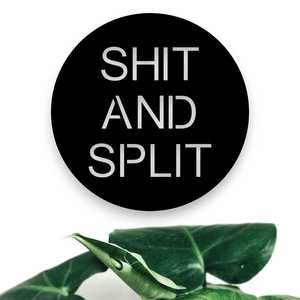 Word Wall Art: Polite Toilet Sign