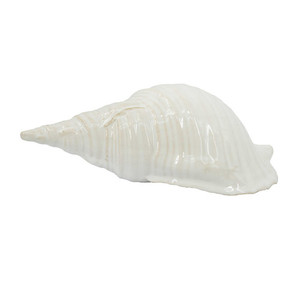 Products: Natural Seashell Décor White Sands Interiors