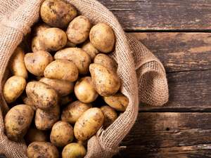 Streamside Organics' Organic Potatoes - Gwenne Potato (waxy - salads & boiling)