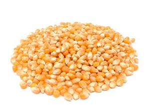 Whole Grains: Organic Popcorn