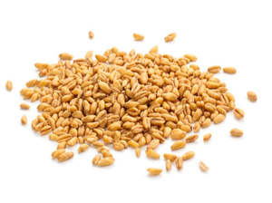 Whole Grains: Organic Wheat 1kg
