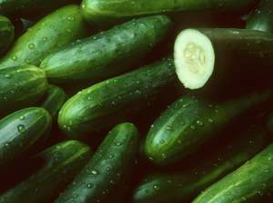 NZ Spray Free Cucumbers - Lebanese