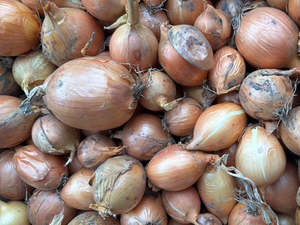 NZ Organic Onions - Brown NEW SEASON