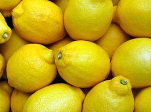 Miranda Spray Free Lemons - Genoa (sour lemon)