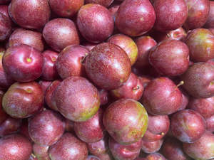 Fruit Only: Te Mata Organic Plums - Omega