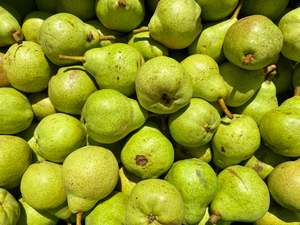 Fruit Only: Te Mata Organic Pears - WBC