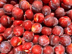 Te Mata Organic Plums - Freedom