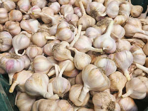 Vegetables Only: Untamed Earth Organic Garlic