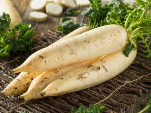 Vegetables Only: Streamside Organics' Organic Daikon Radish