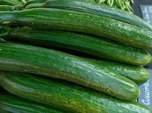 Vegetables Only: Peter's Organic Telegraph Cucumber - Each