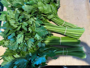 Vegetables Only: Crooked Vege Organic Celery Stalks - Bunched