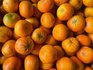 Gisborne Spray Free (not organic) Mandarins - Satsuma