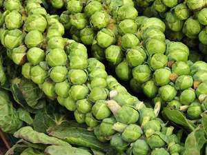 Vegetables Only: Streamside Organic Brussel Sprout Stems LARGE