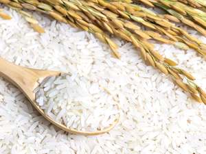 Grocery: Organic White Jasmine Rice
