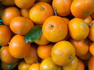 Fruit Only: Palmy Organic Grapefruit