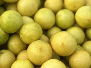 Fruit Only: Local Organic Tahitian Limes