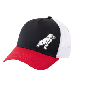 MACK Tri Colour Curved Brim Trucker Cap