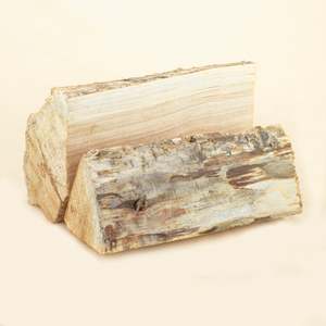 Macrocarpa: Macrocarpa (Suitable for burning 2026)