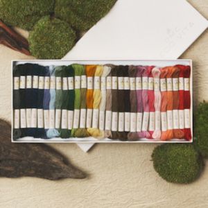Embroidery Thread: Ecovita Collectors Box - 30 Skeins