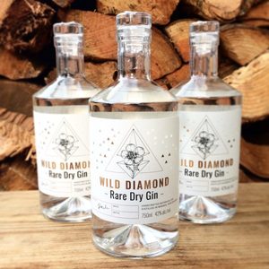 Products: Rare Dry Gin – Case of 6