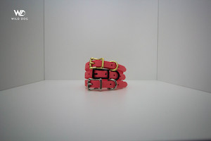 Products: Salmon 1/2" Collar