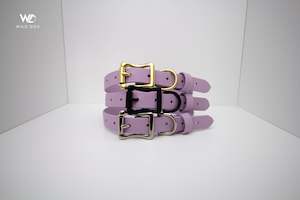 Products: Lavender 1" Collar
