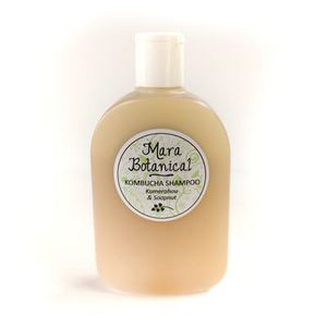 Products: Kombucha Shampoo