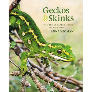 Geckos & Skinks