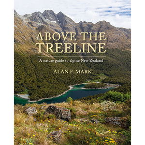 Above the treeline