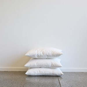 Cushion Covers: Cushion Inner