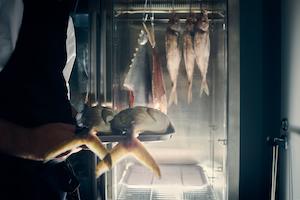 Fresh Butterfish fillets