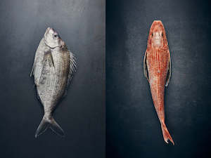 Products: Seafood Pack: Tarakihi & Gurnard