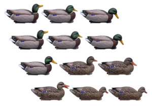 'HD' series | Floating Mallards 12pk